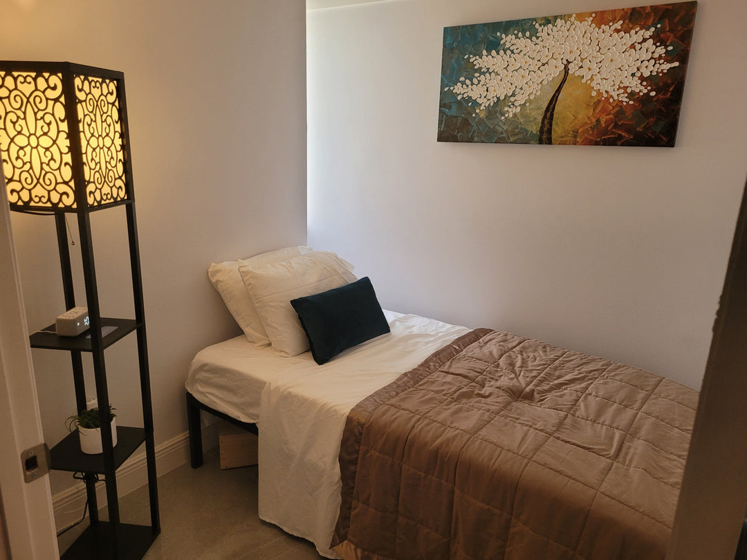 4hr Cellular Recharge Session w/10 Min Consultation & Before/After Stress Scan | Tampa, FL